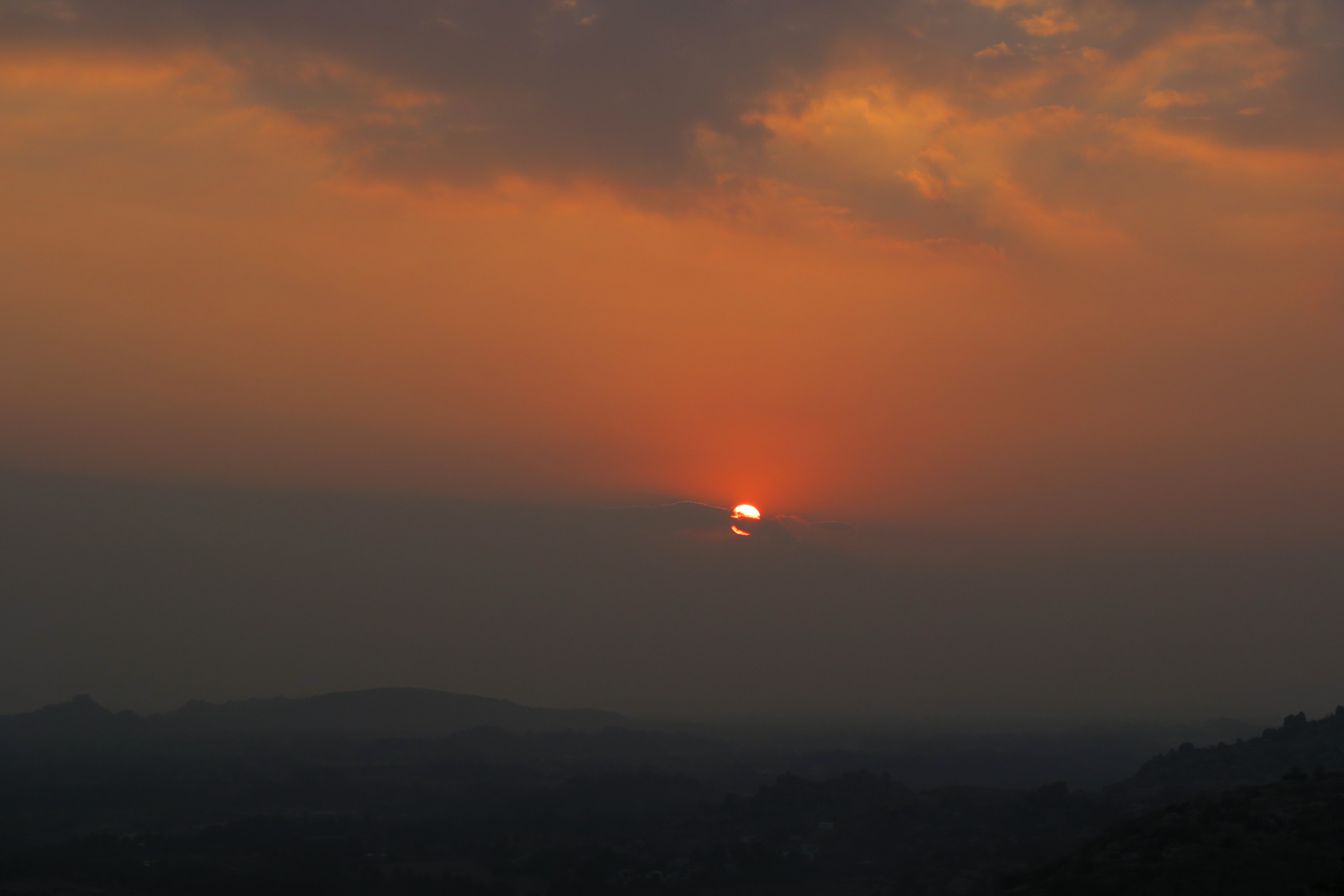 La supervision des coachs internes